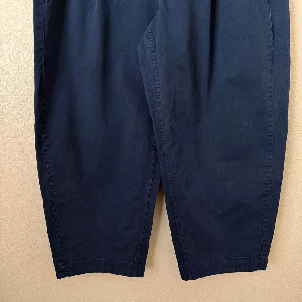 Everlane Pants Womens 12 Everywhere Barrel Pleated Chino Organic Cotton Linen